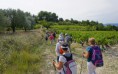 /album/a2015-09-vaison-la-romaine/a77-cornuds-11-jpg/